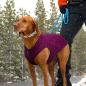 Preview: Kurgo K9 Core Hundepullover Heather Violett, Gr. XL